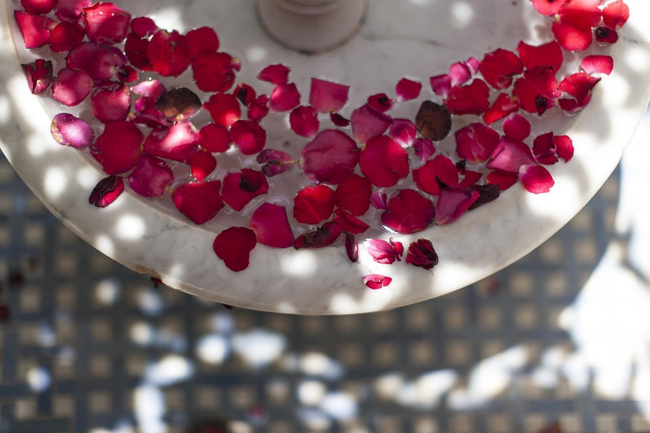Dar Sohane Marrakesh Luaran gambar